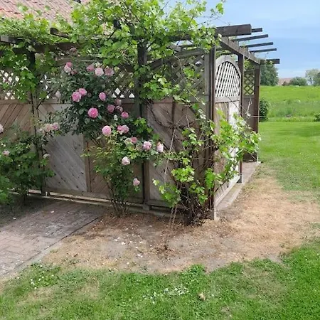 Appartement Mecklenburgische Schweiz Gross Roge