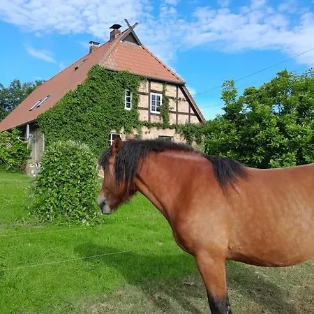 Mecklenburgische Schweiz Appartement *