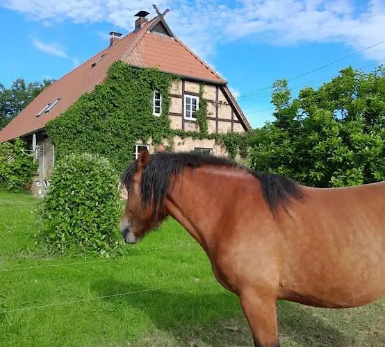 Mecklenburgische Schweiz Apartamento *